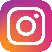 instagram social media button